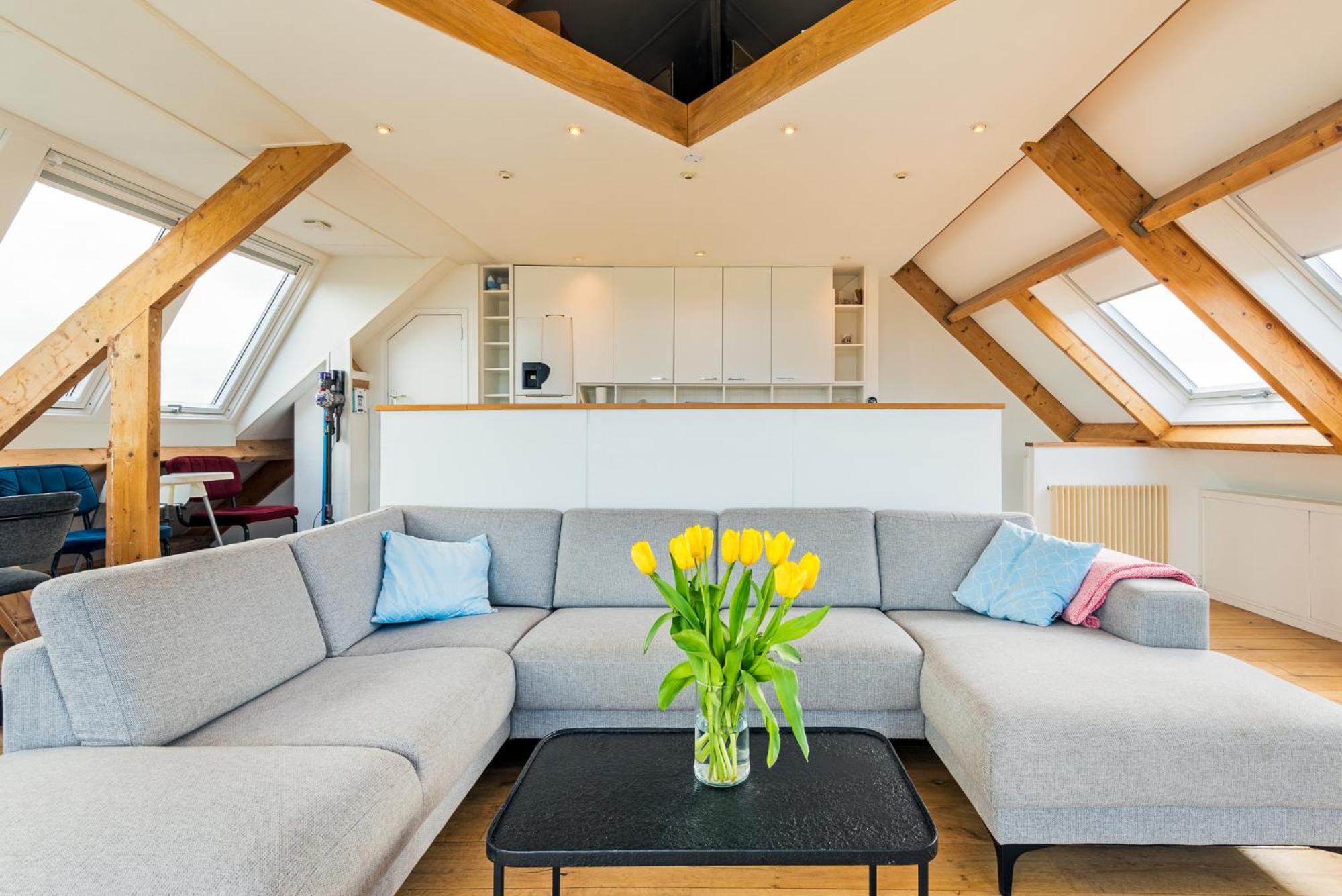 Zon Modern Beach House Bergen aan Zee Eksteriør billede