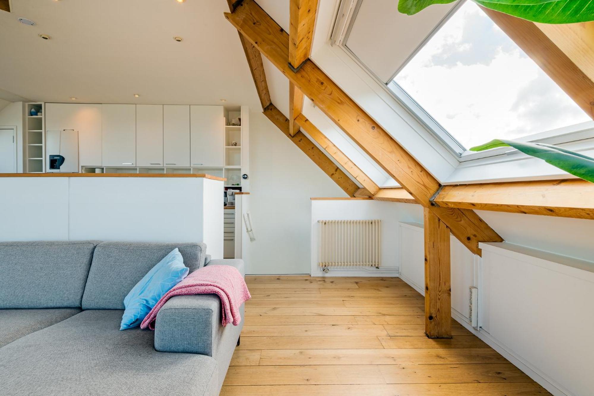 Zon Modern Beach House Bergen aan Zee Eksteriør billede